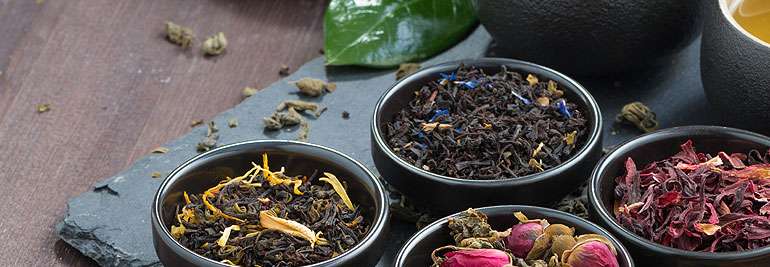 The Art of the Tea Plant in Various Colors